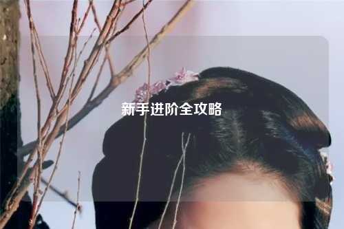 新手進階全攻略