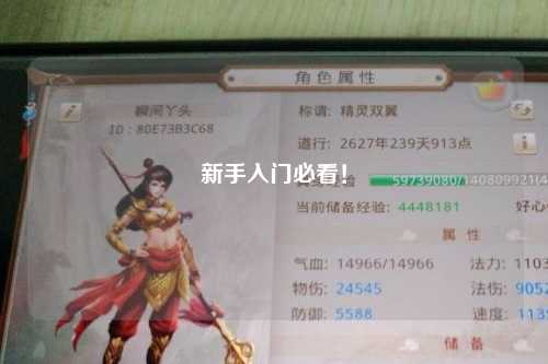 新手入門必看！