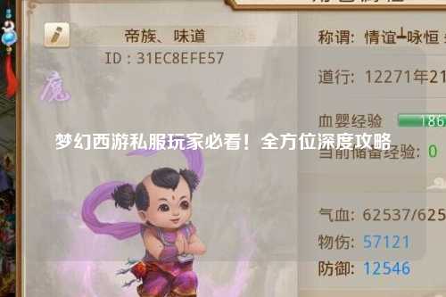夢幻西游私服玩家必看！全方位深度攻略