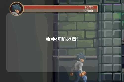 新手進階必看！