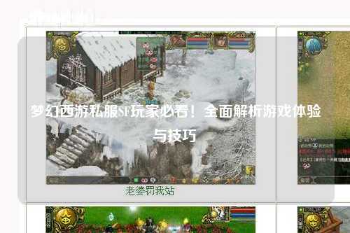 夢(mèng)幻西游私服SF玩家必看！全面解析游戲體驗(yàn)與技巧