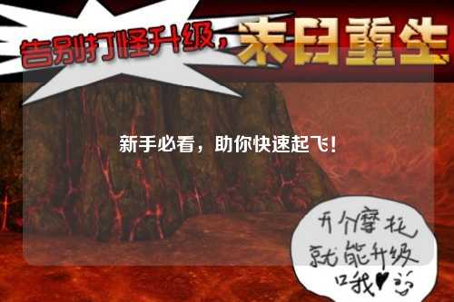 新手必看，助你快速起飛！