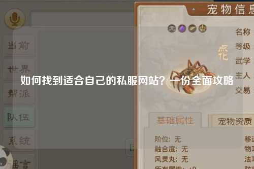 如何找到適合自己的私服網(wǎng)站？一份全面攻略