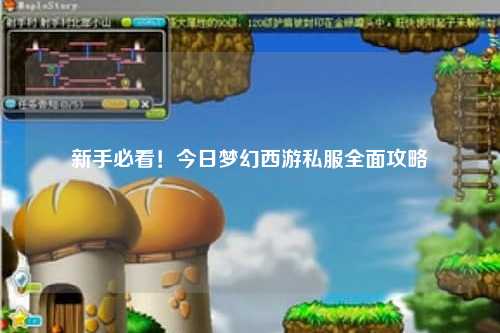 新手必看！今日夢(mèng)幻西游私服全面攻略