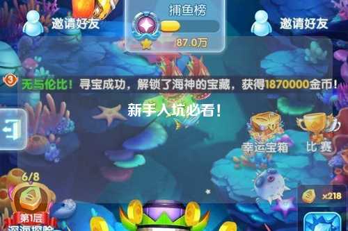 新手入坑必看！