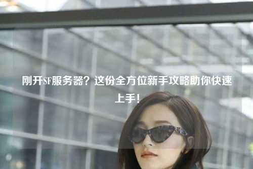 剛開SF服務(wù)器？這份全方位新手攻略助你快速上手！