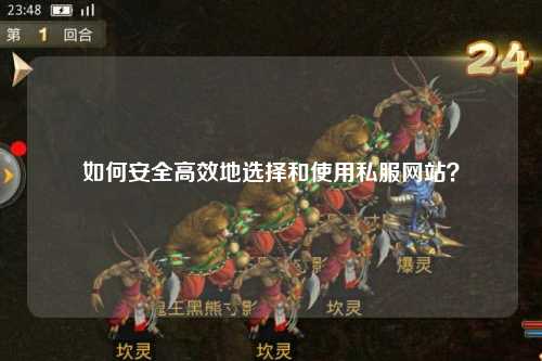 如何安全高效地選擇和使用私服網(wǎng)站？