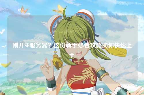 剛開SF服務(wù)器？這份新手必看攻略助你快速上手
