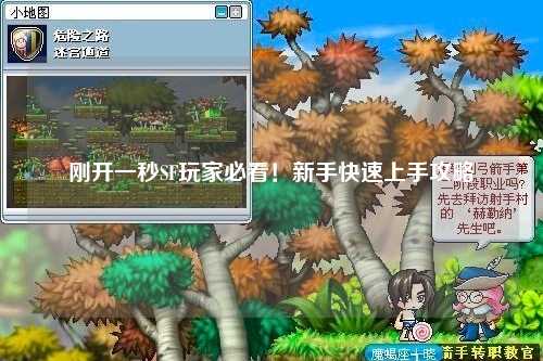 剛開(kāi)一秒SF玩家必看！新手快速上手攻略