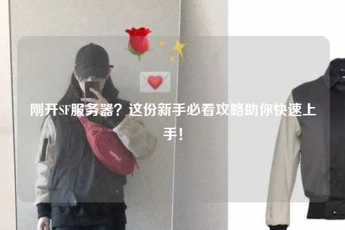 剛開SF服務(wù)器？這份新手必看攻略助你快速上手！