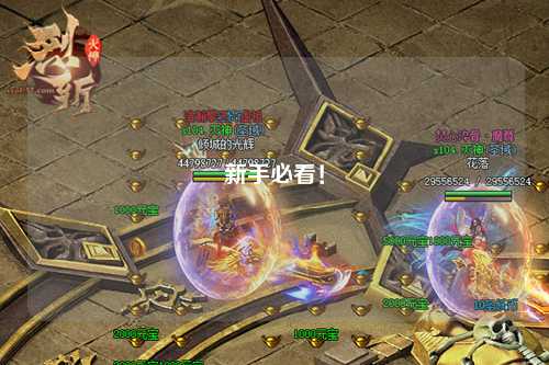 新手必看！