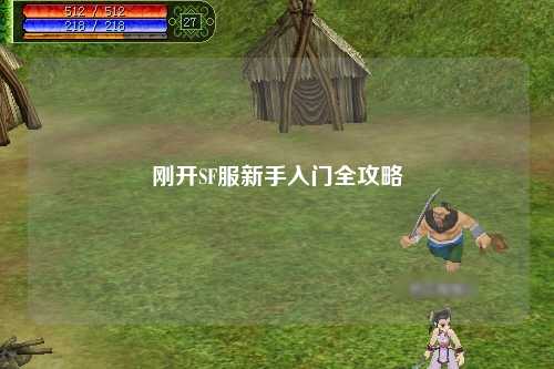 剛開(kāi)SF服新手入門全攻略