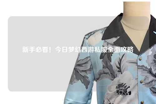 新手必看！今日夢幻西游私服全面攻略
