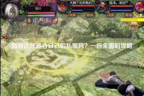 如何選擇適合自己的私服網(wǎng)？一份全面的攻略