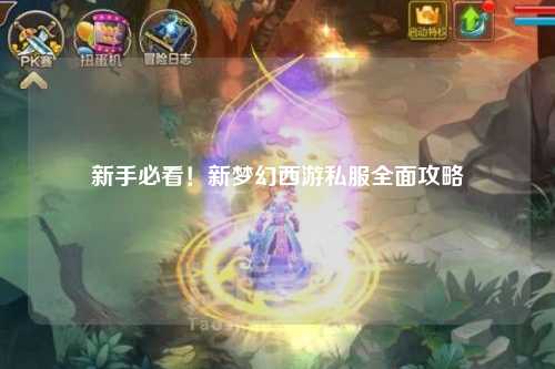 新手必看！新夢幻西游私服全面攻略
