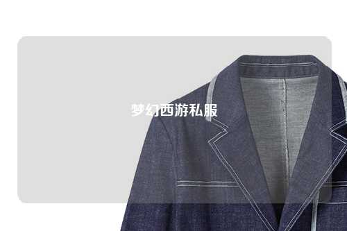 夢(mèng)幻西游私服