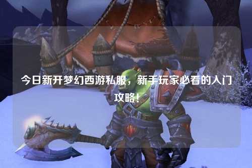 今日新開夢(mèng)幻西游私服，新手玩家必看的入門攻略！